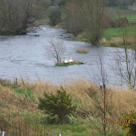 Bed & Breakfast Birchwood