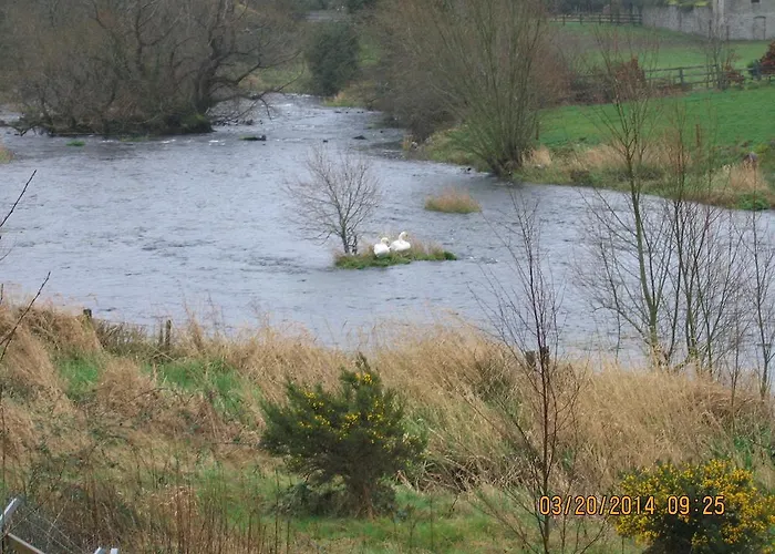 Bed & Breakfast Birchwood